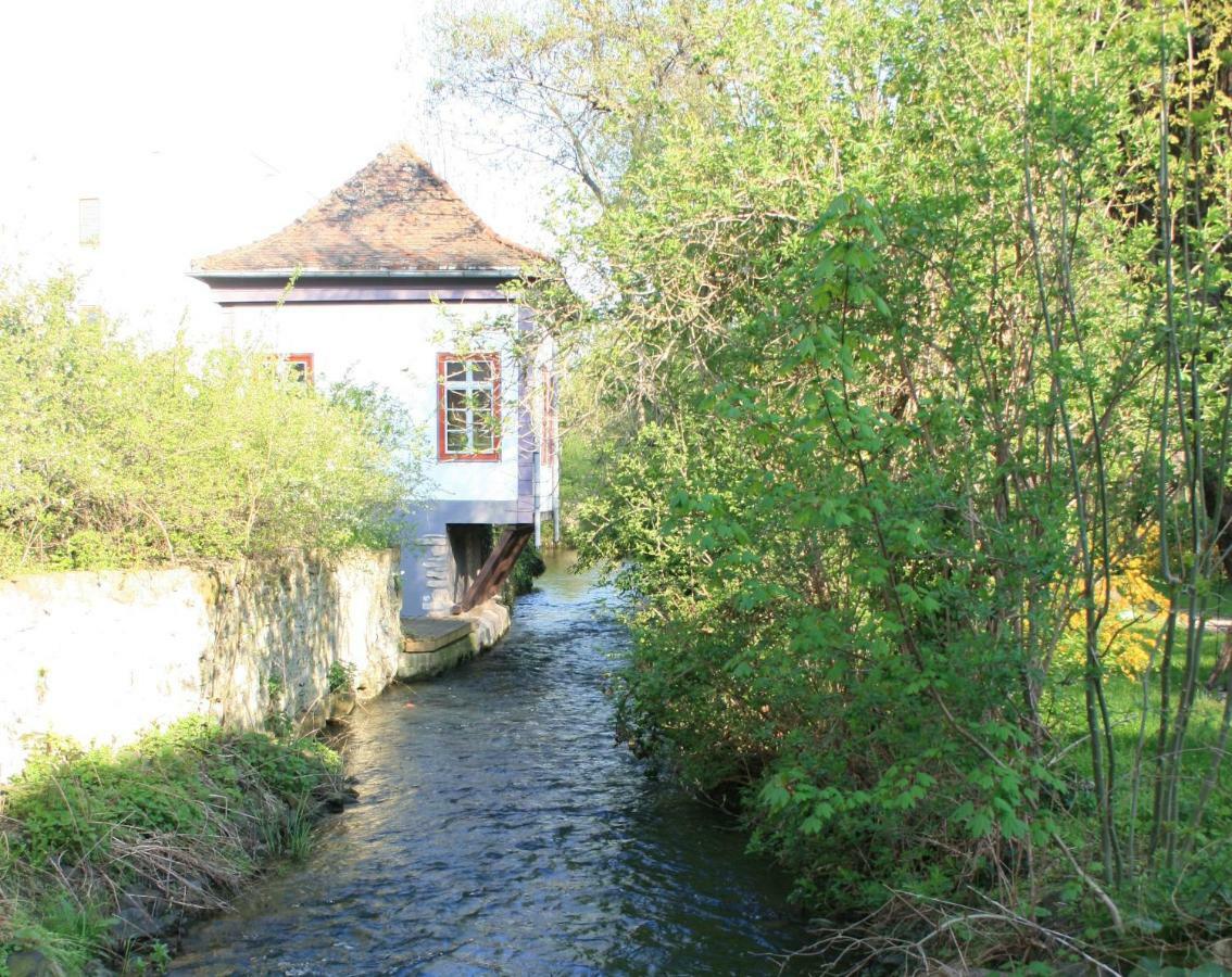 Am Puls Der Altstadt * Erfurt