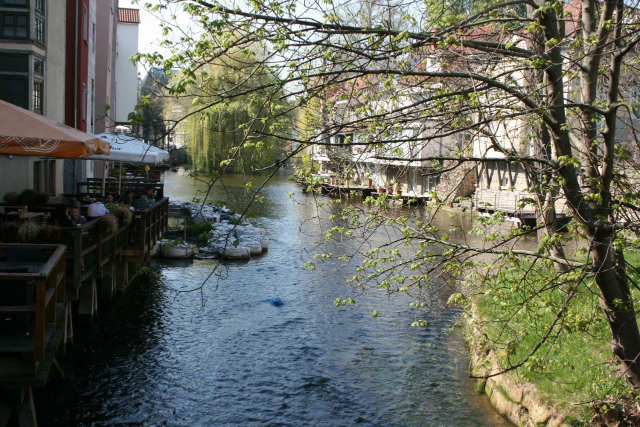 Am Puls Der Altstadt Erfurt